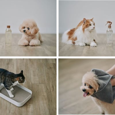 犬と猫