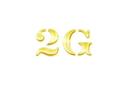 2Gロゴ