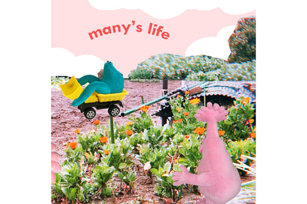 many’s life シボネ