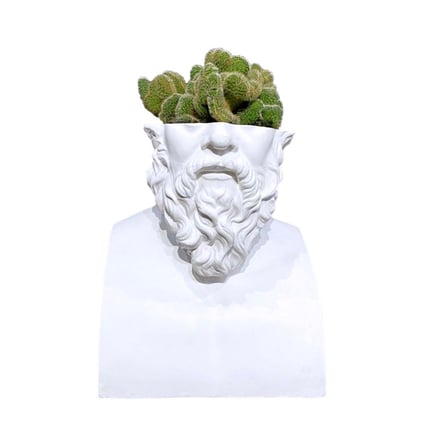 emeth 植物　ブランド　石膏像