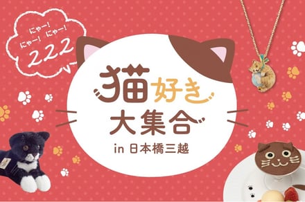 三越伊勢丹　イベント開催　猫の日