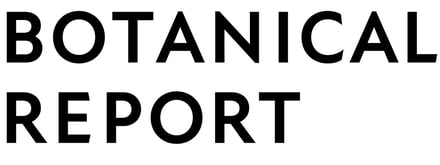 「BOTANICALREPORT」プロジェクトのロゴ
