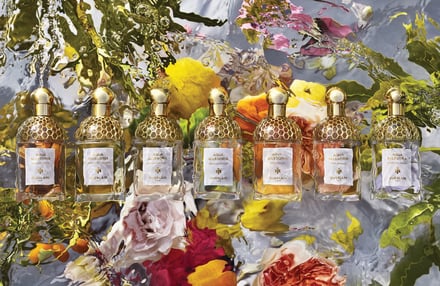 カラフルな花を背景に7本の香水が並んでいる画像
