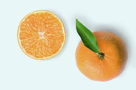 二つにカットされたマンダリンオレンジ