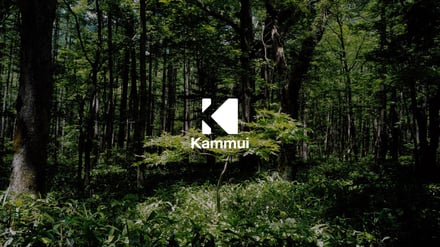 Kammui.comのサイト画面