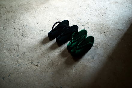 黒と緑のベルベットの草履