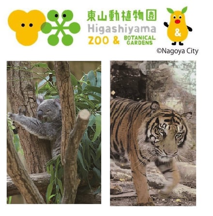 虎とコアラの写真と東山動植物園のロゴ