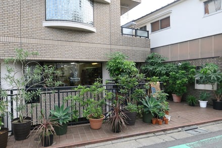 植木などの植物を置いた茶色い建物の外観
