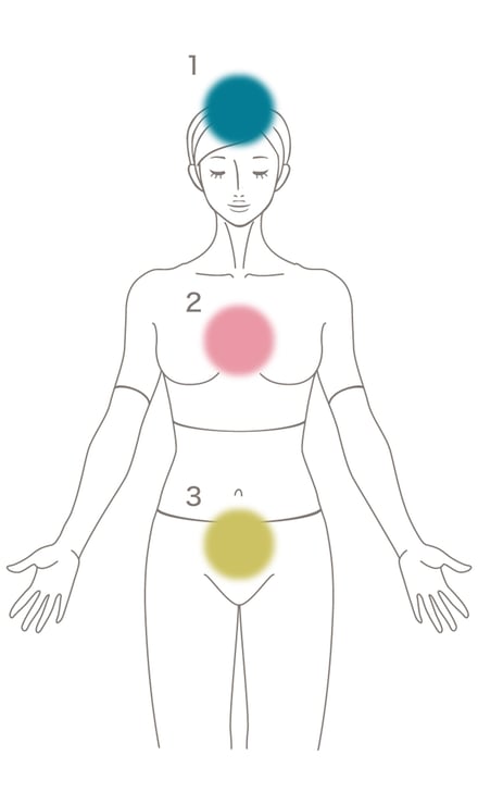 人体の絵に均等な間隔で3色の円が配置されている