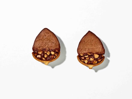 どんぐりの形のチョコレート菓子の断面図