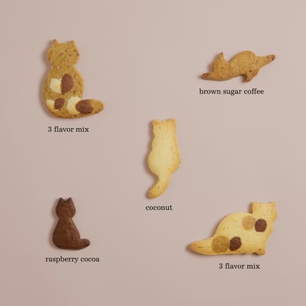 5つの猫型クッキーが並べられている