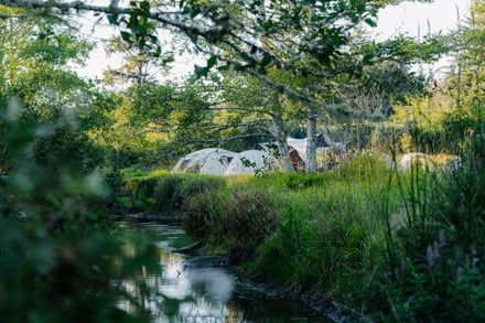 緑の多い川辺に建てられた白いテント