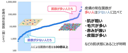 コーセーの研究発表内容の図