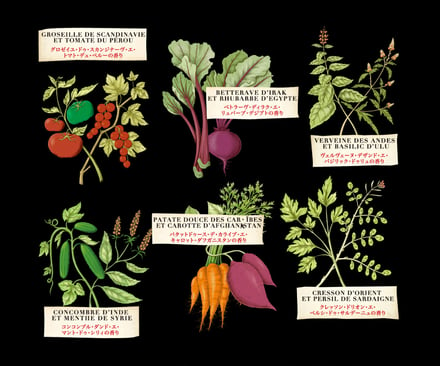 オフィシーヌ・ユニヴェルセル・ビュリーの植物図鑑