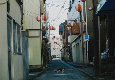 渡邊りおの写真作品