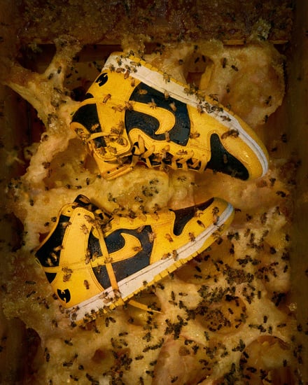 NIKE x Wu Tang Clang DUNK HIGH イメージヴィジュアル