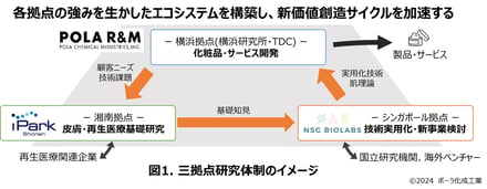 ポーラ化成工業の研究体制