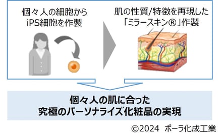 ポーラ化成工業の研究体制