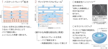 ディセンシアの新作クリーム