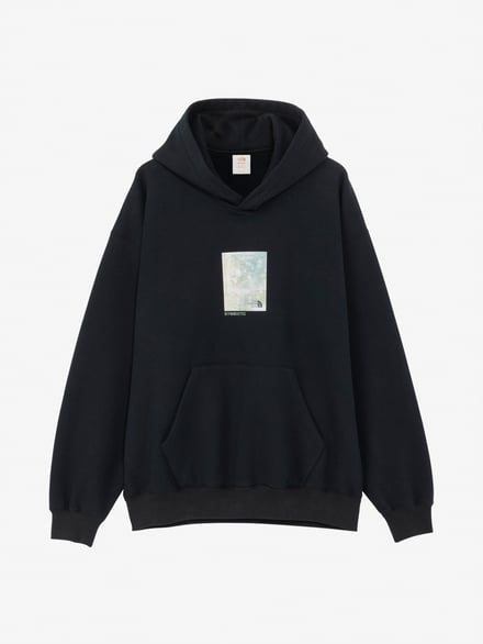 THE NORTH FACE Sam Falls Brewed Protein? Collection Symbiotic Sweat Hoodie