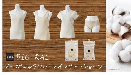 アイテム一覧イメージ