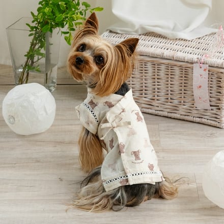 犬の着用画像
