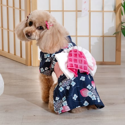 犬の着用画像