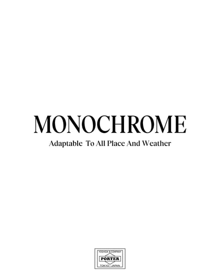 MONOCHROMEヴィジュアルv