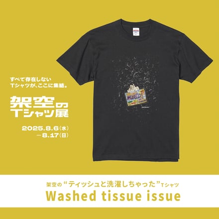 架空のTシャツの写真
