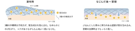 図