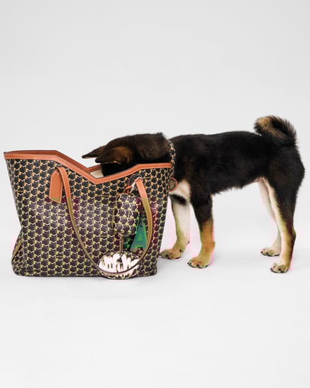 MOYNAT M canvas - Pet Collection　ヴィジュアル画像