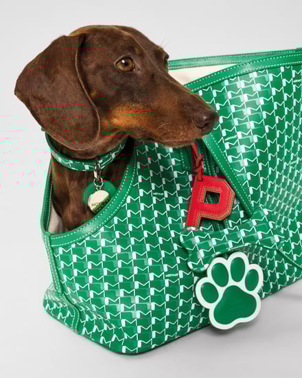 MOYNAT M canvas - Pet Collection　ヴィジュアル画像