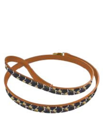 Pet Leash