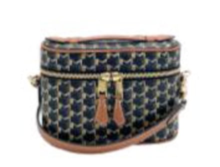 Mini vanity case with strap