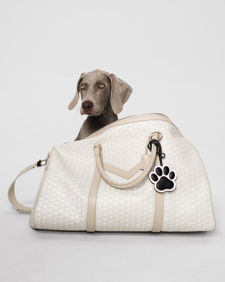 MOYNAT M canvas - Pet Collection　ヴィジュアル画像