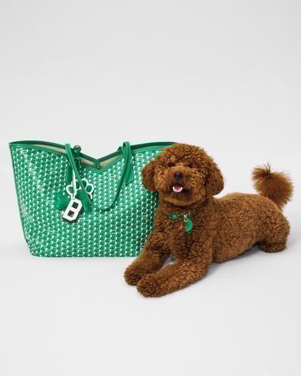 MOYNAT M canvas - Pet Collection　ヴィジュアル画像