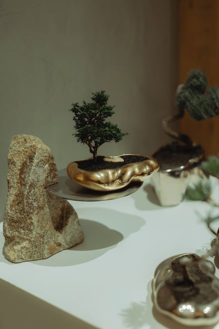 盆栽