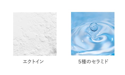 保湿成分