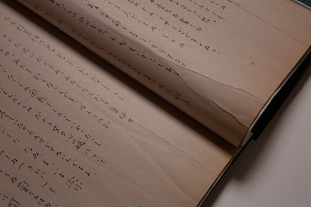 展示作品