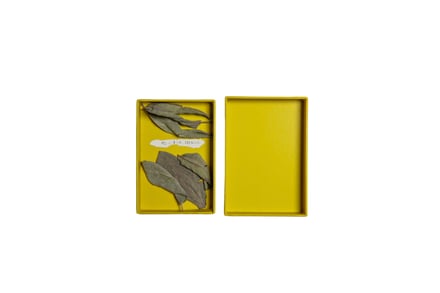 展示作品