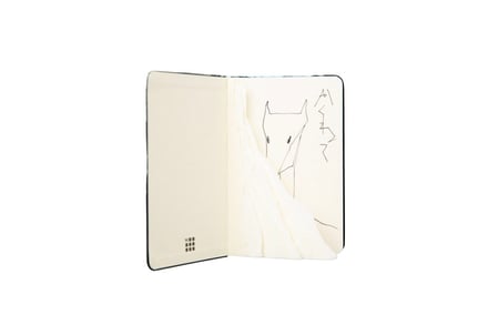 展示作品