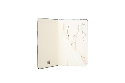 展示作品