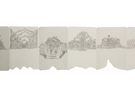 展示作品