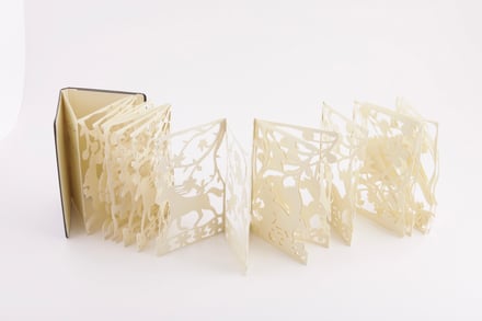 展示作品