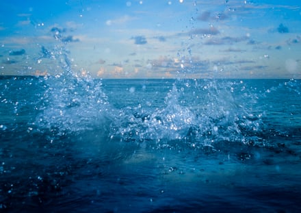 海