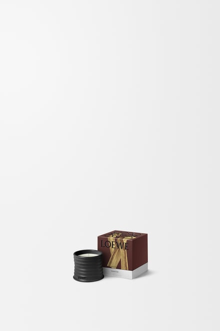「パロ サント（Palo Santo）」　アイテム画像