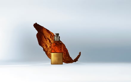 ɥꥹ  Υåƥ `ɥѥե  ϥХ ` ƥ໭