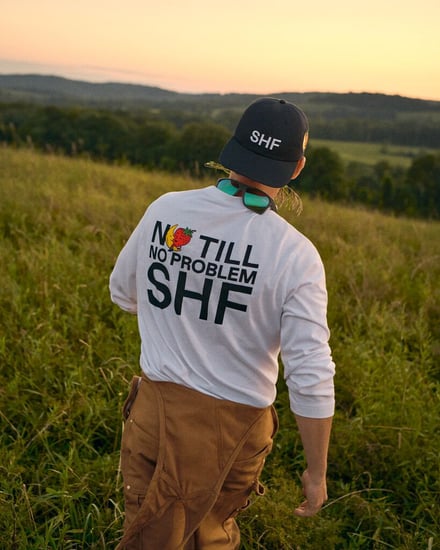 ヴィジュアル画像