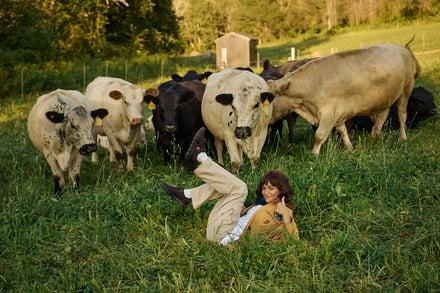 ヴィジュアル画像