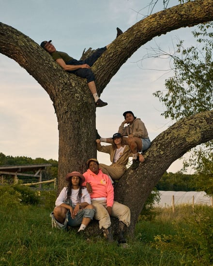 ヴィジュアル画像